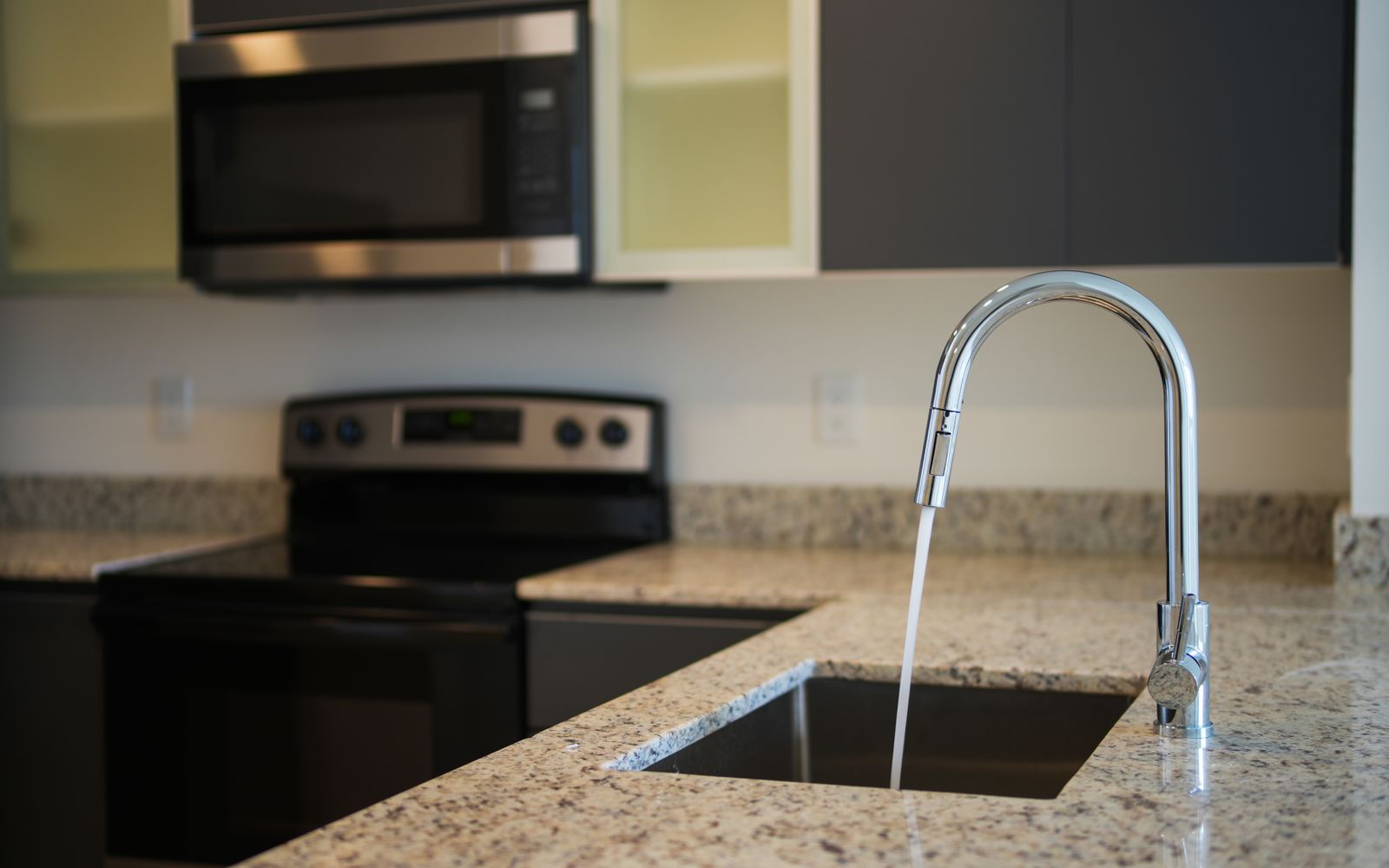 Disposal Repair Dallas &ndash; Garbage disposal repair Dallas under a double bowl stainless kitchen sink